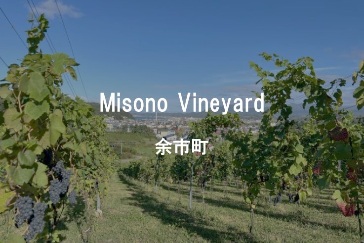 06_Misono Vineyard.JPG