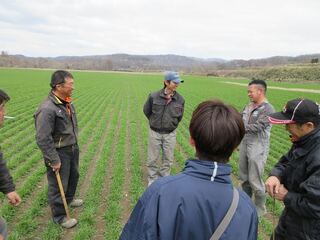 栽培方法等の意見交換