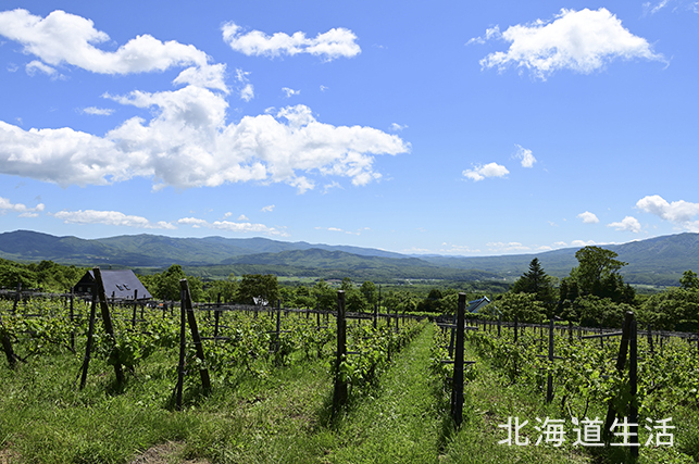 松原農園_hl_0122 (JPG 320KB)