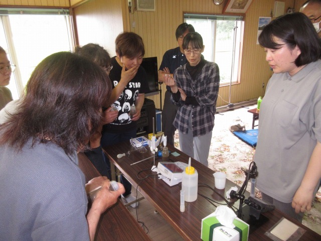 pH測定を実習している様子