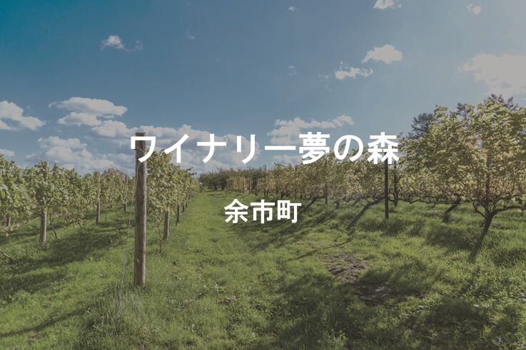 16_ワイナリー夢の森.JPG