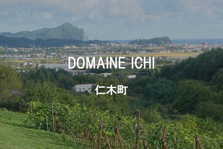 17_DOMAINE ICHI.JPG