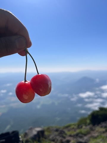 指先で送る君へのメッセージ.jpg