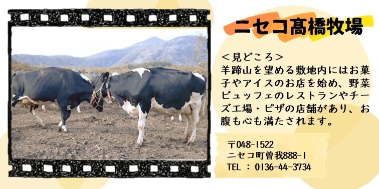 44_ニセコ髙橋牧場.JPG