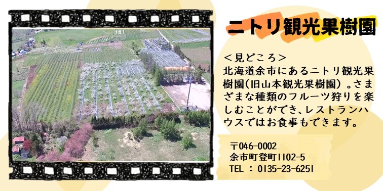 51_ニトリ観光果樹園.JPG