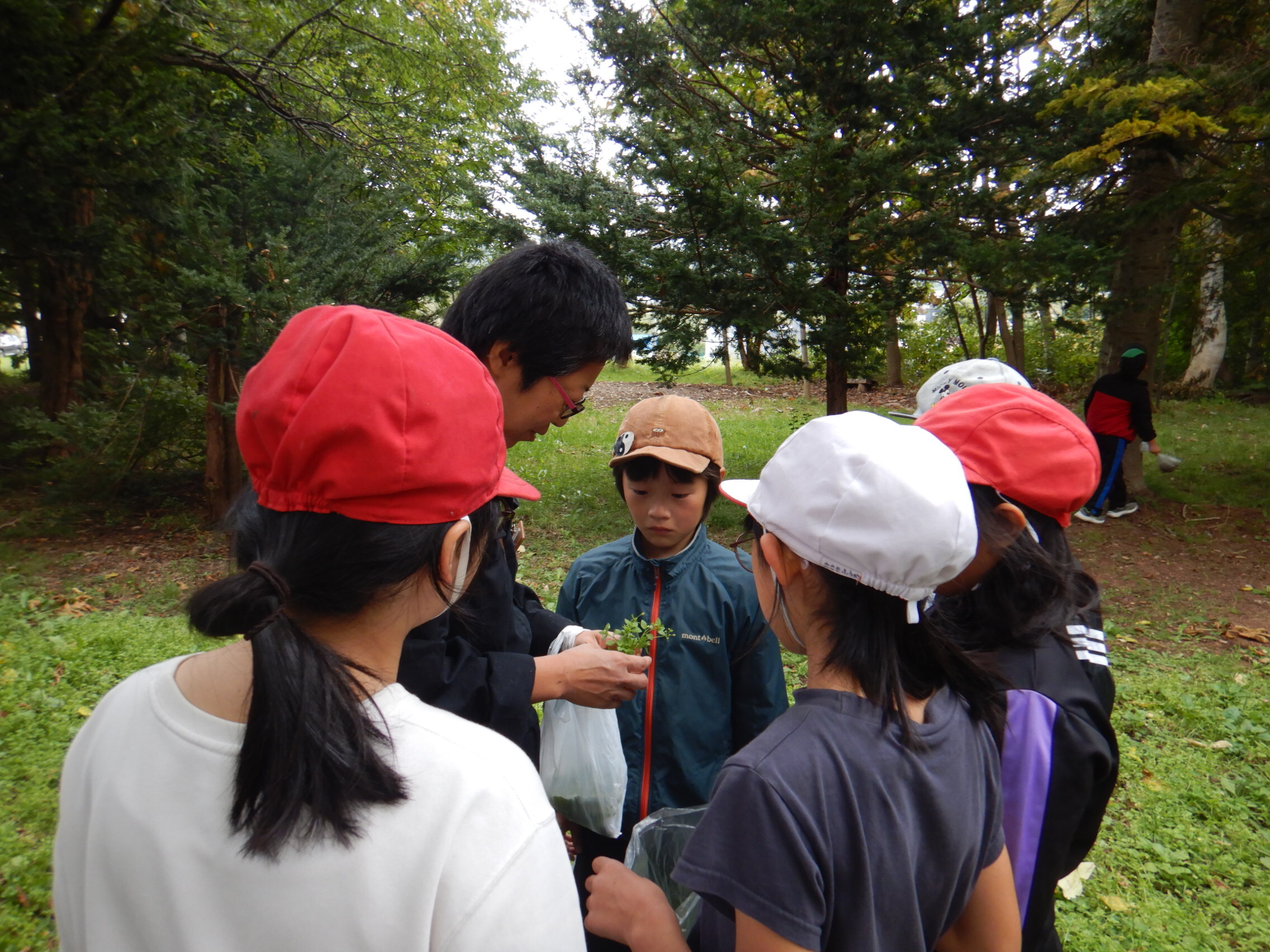 赤井川小学校「木育教室」