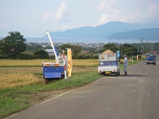 syoku_syuukaku.JPG