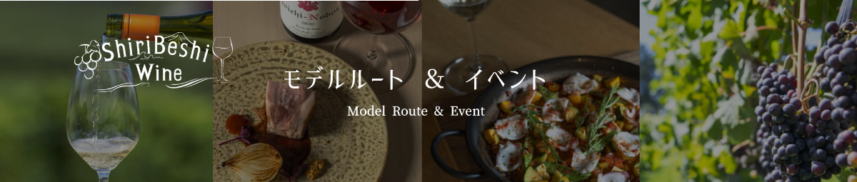 モデルルート_イベント.png