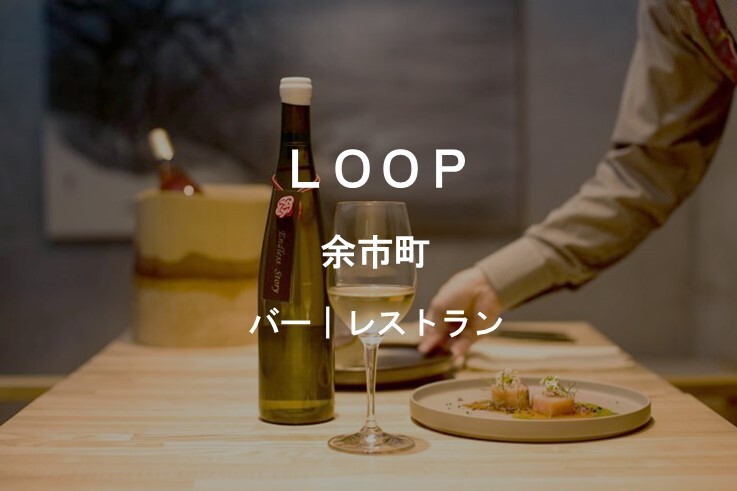 04_LOOP.JPG