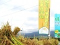 H29kengakukai.jpg