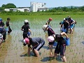 katudou-290606title.jpg
