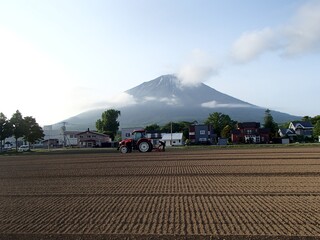 羊蹄山とスイートコーンほ場