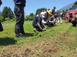 ほ場を確認