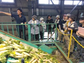 だいこん集出荷選別施設