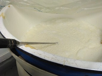 酒母により酵母をつくる