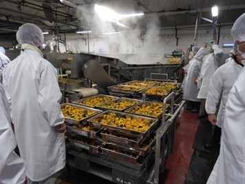 カットされたかぼちゃ