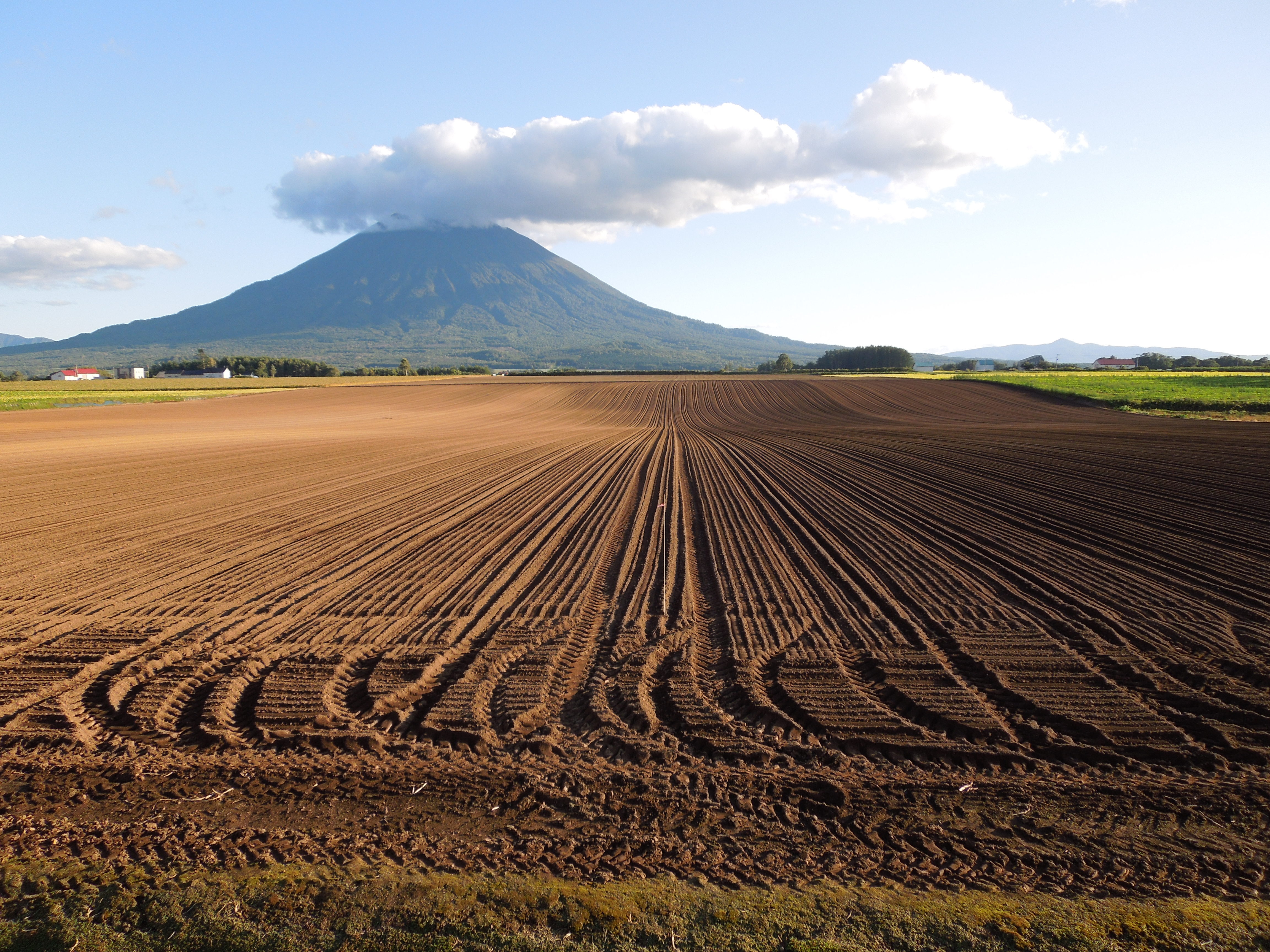 題名「soil contrast」 小俣 (JPG 2.86MB)