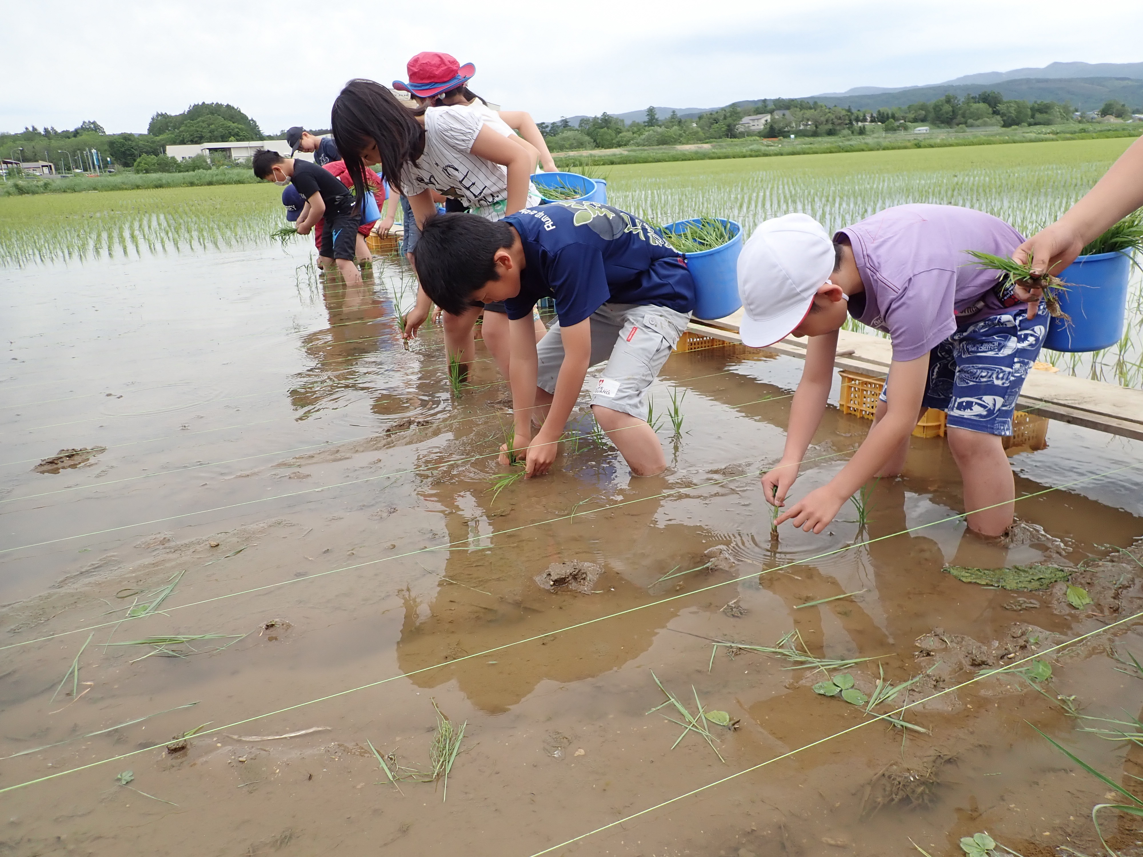 R1.6.25_taue.JPG