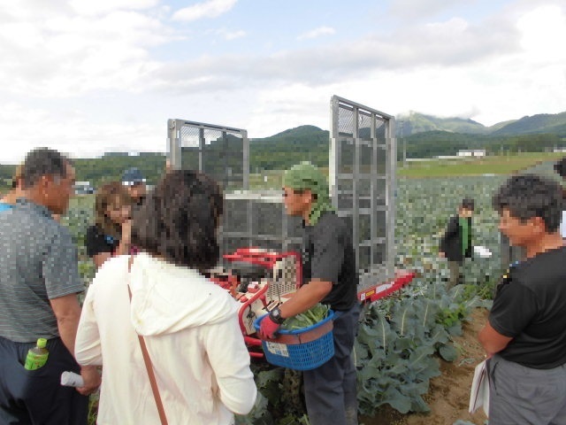 収穫作業の手順について質問する参加者