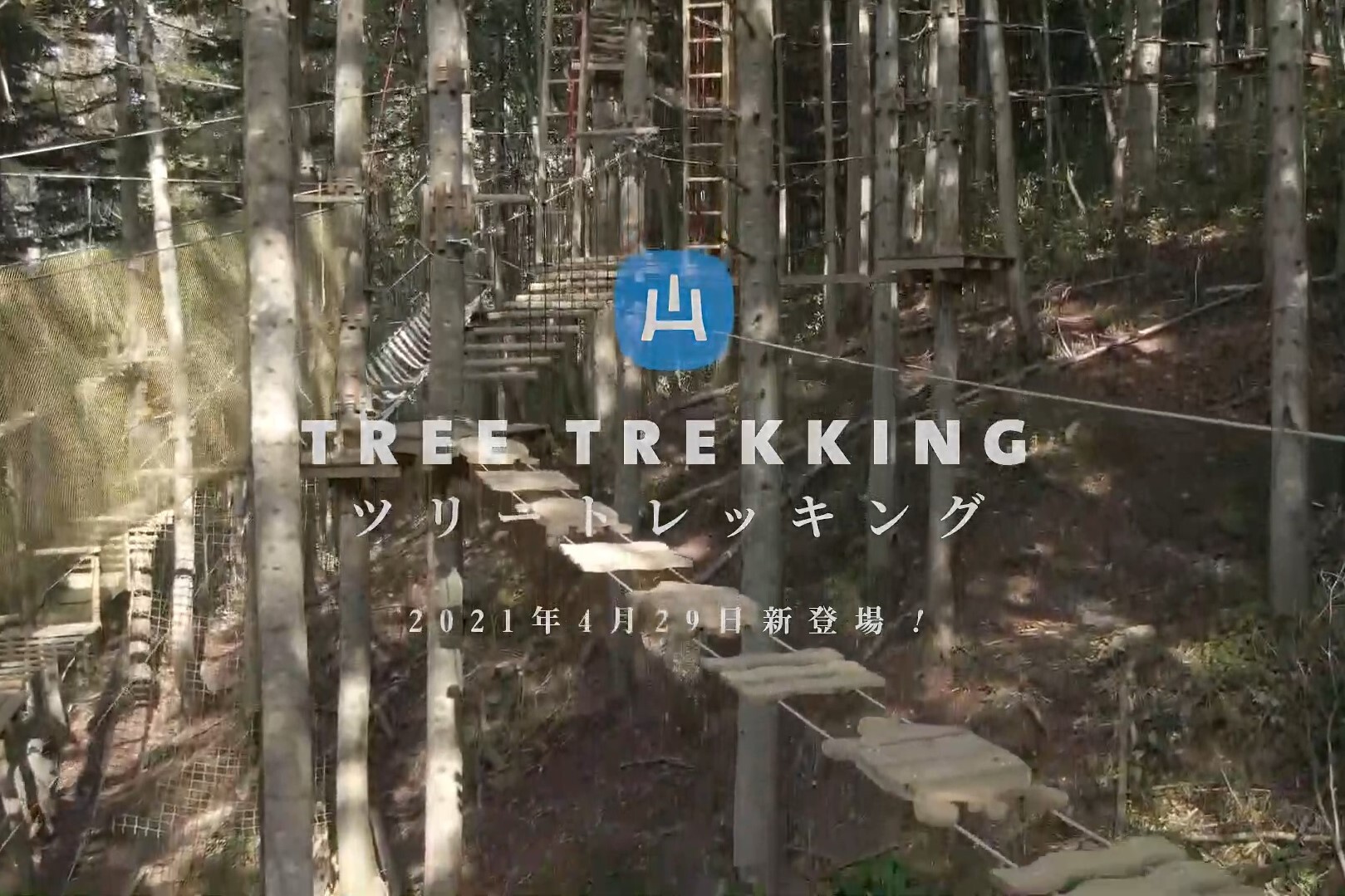 07_Tree Trekking-ニセコHANAZONOリゾート.jpg