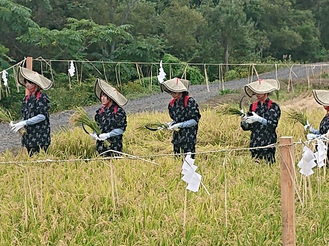 ぬきほ祭の様子