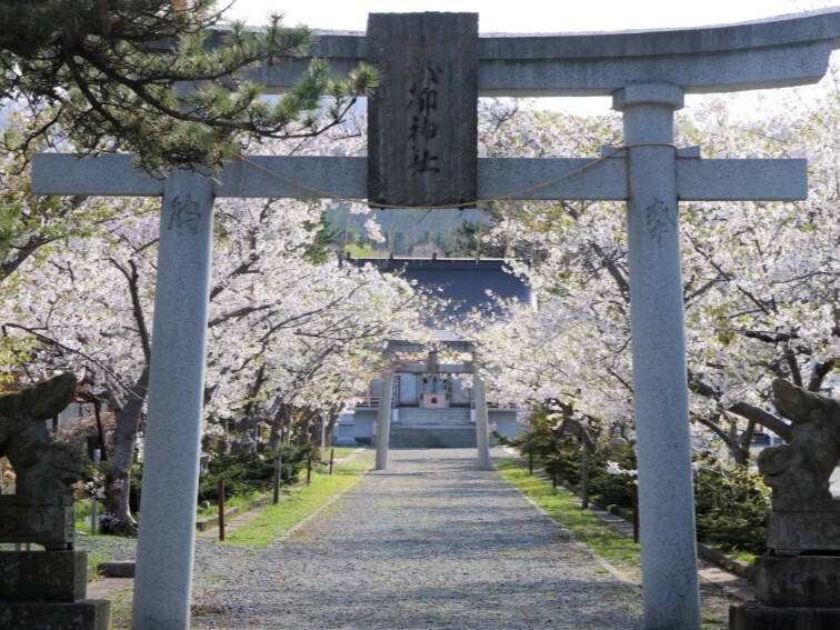 壽都神社_桜1 (JPG 151KB)