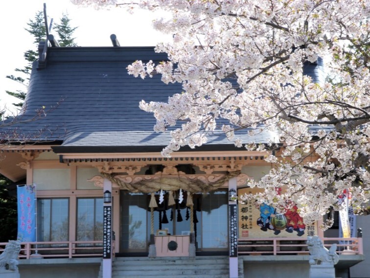 壽都神社_桜2.JPG