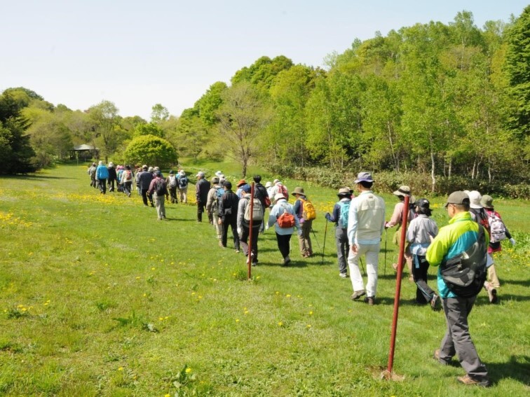 フットパス_森林公園コース.JPG