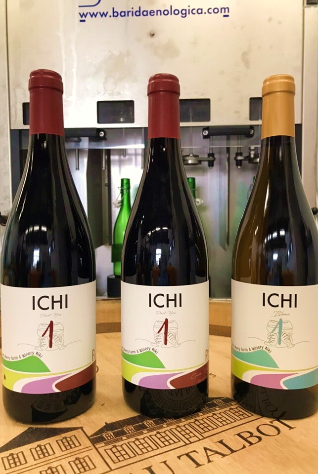 Domaine ICHI 8本セット