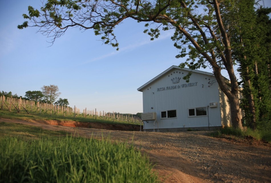 リタファーム&ワイナリー - 後志総合振興局産業振興部商工労働観光課