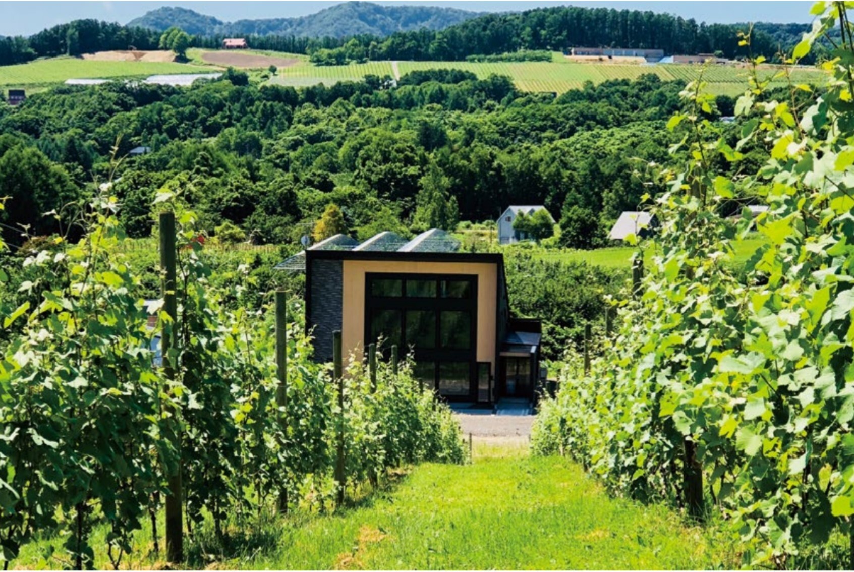 Domaine Bless(ドメーヌ・ブレス) - 後志総合振興局産業振興部商工労働