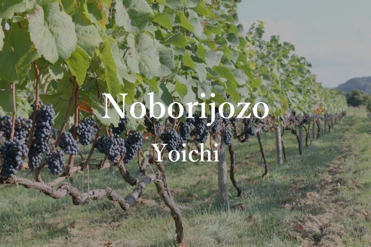 03_Nobori Jozo.JPG