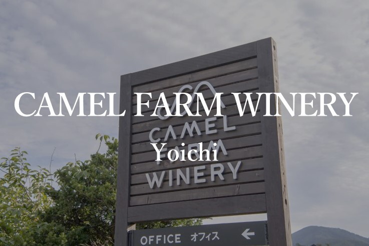 10_CamelFarmWinery.JPG