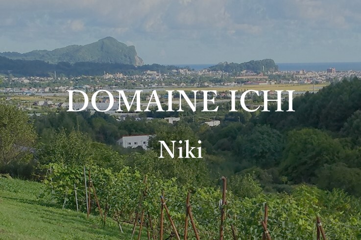 17_DomaineICHI.JPG