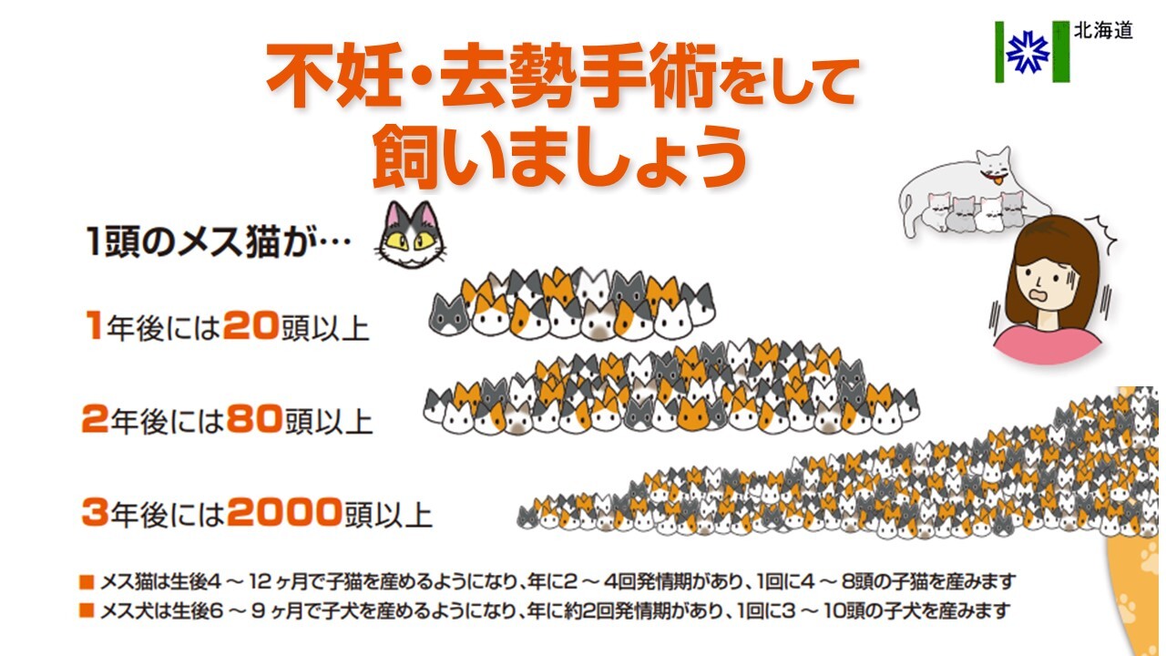 避妊去勢手術をして飼いましょう