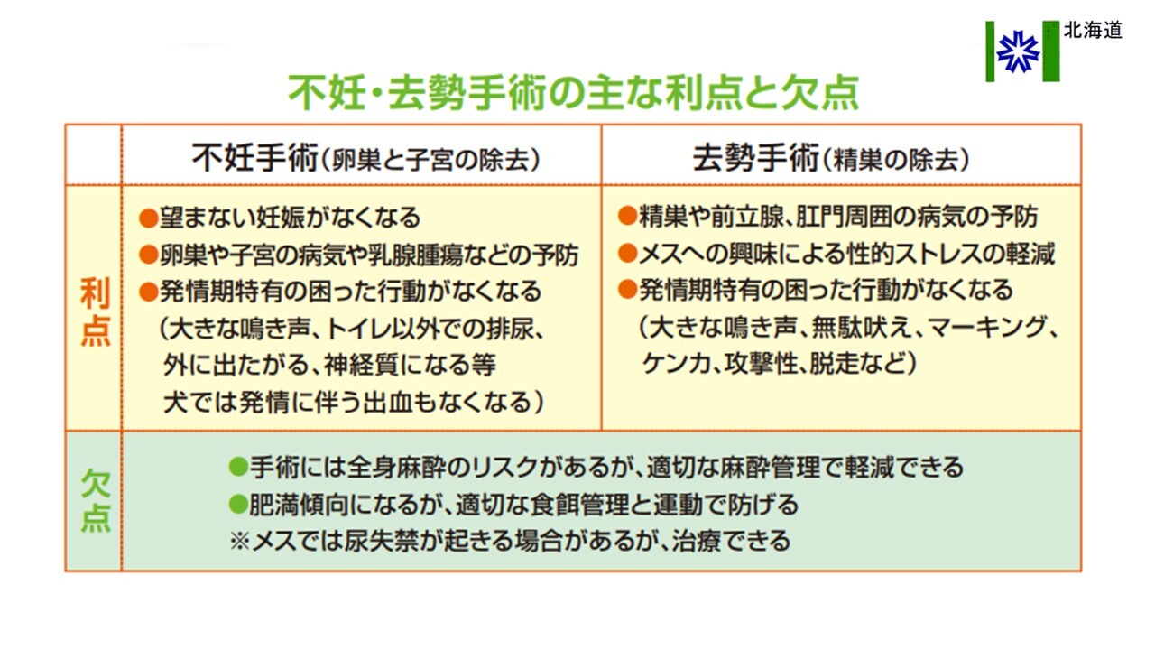 不妊・去勢手術の利点欠点